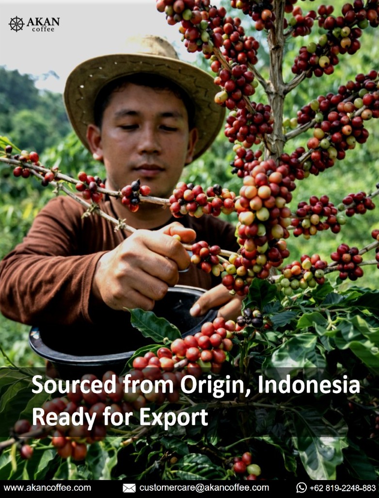 Screenshot 2026-02-21 225653.jpg