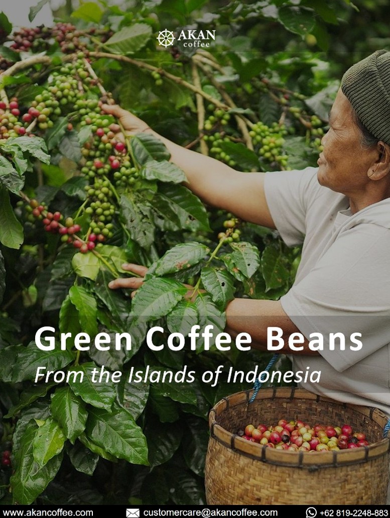 Screenshot 2026-02-21 225800.jpg