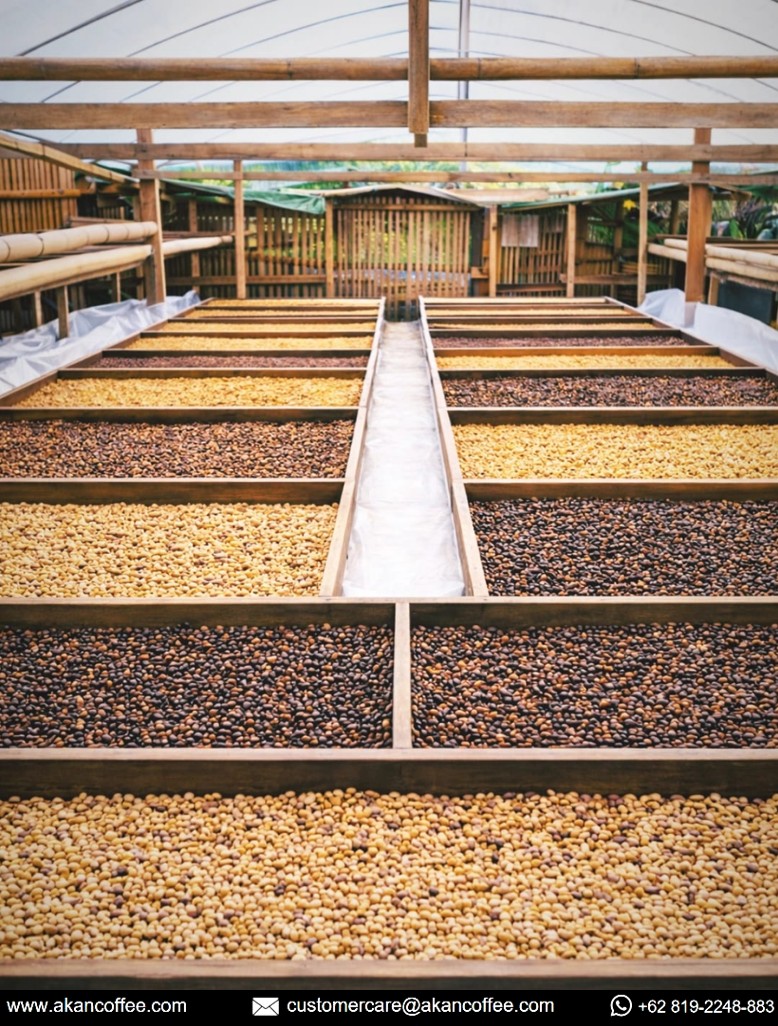 Screenshot 2026-02-21 230029.jpg