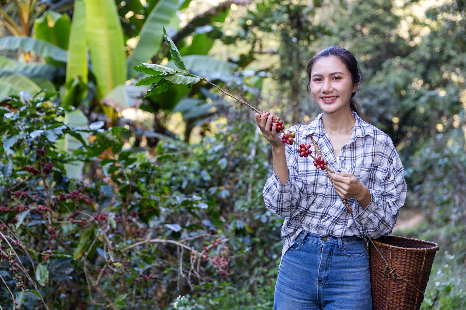 Indonesian Green Coffee Beans: Exploring Coffee Origins from a Buyer’s Perspective female coffee farmer indonesia plantation
