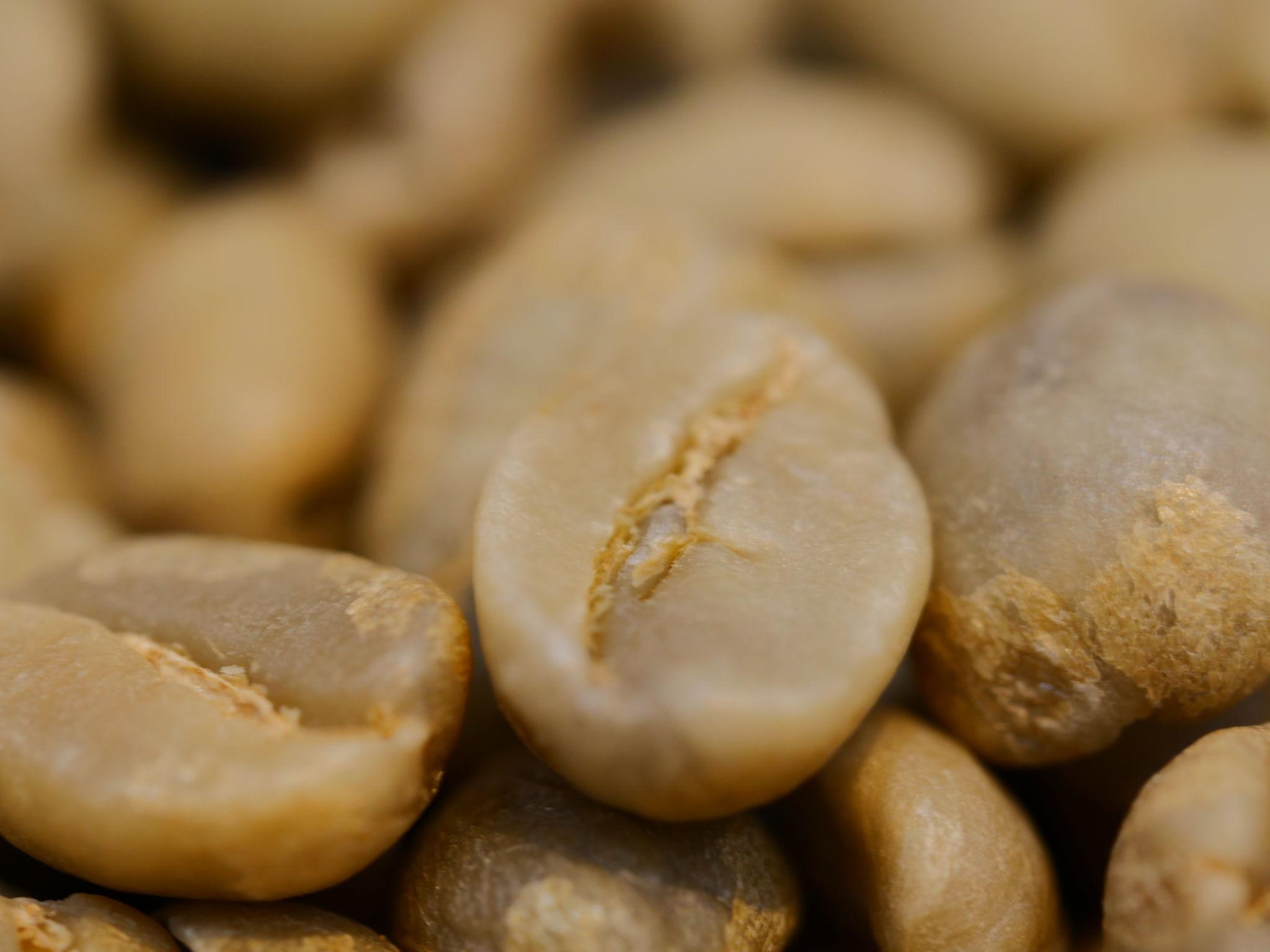 specialty arabica green coffee beans Indonesia