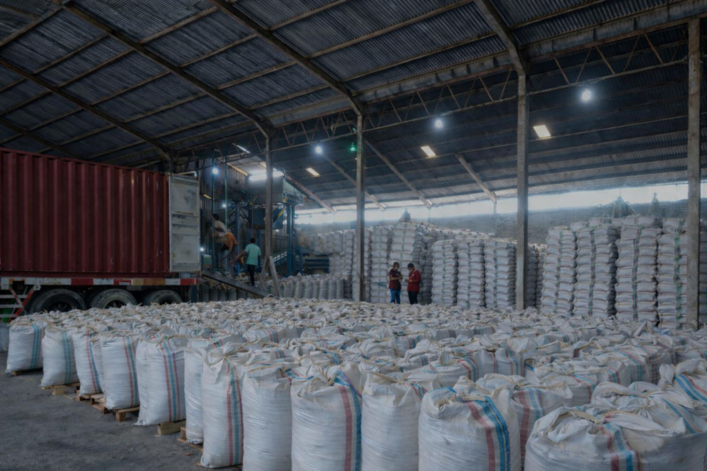 Green Coffee export packaging Indonesia ready for container shipment