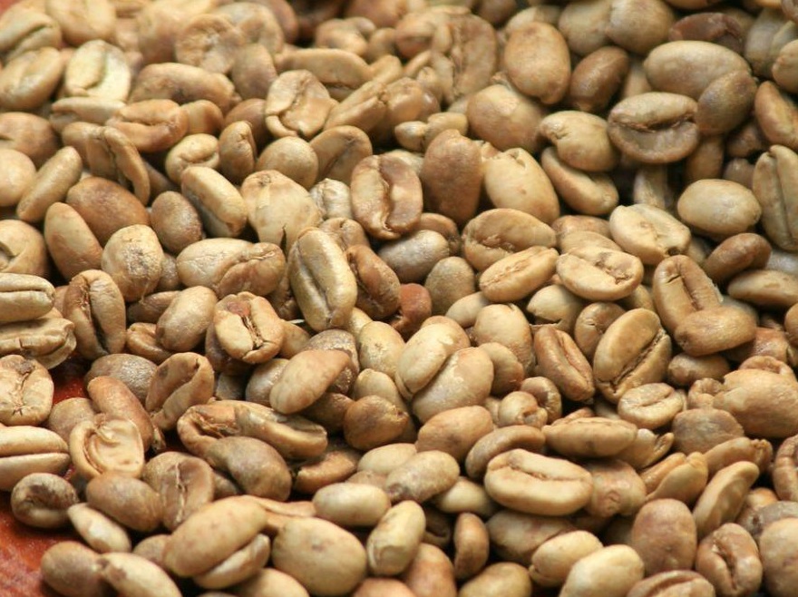 Indonesian robusta green coffee beans