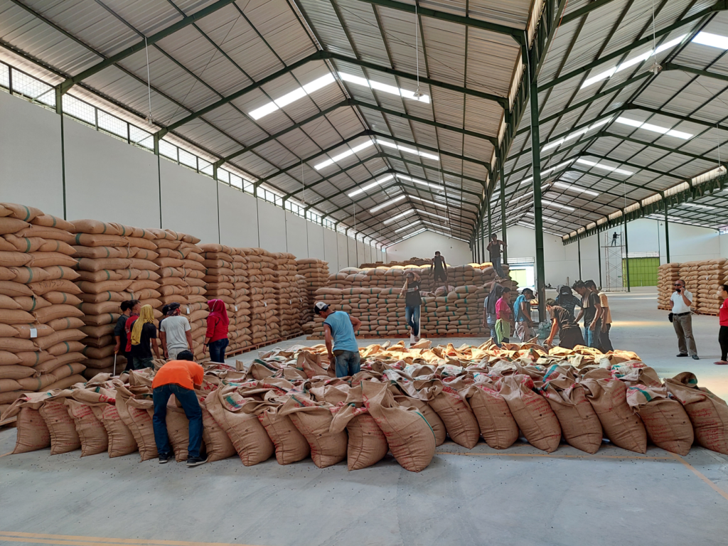 Indonesian coffee exporter warehouse stock ready for delivery