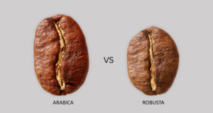 identifying arabica vs robusta coffee beans differences