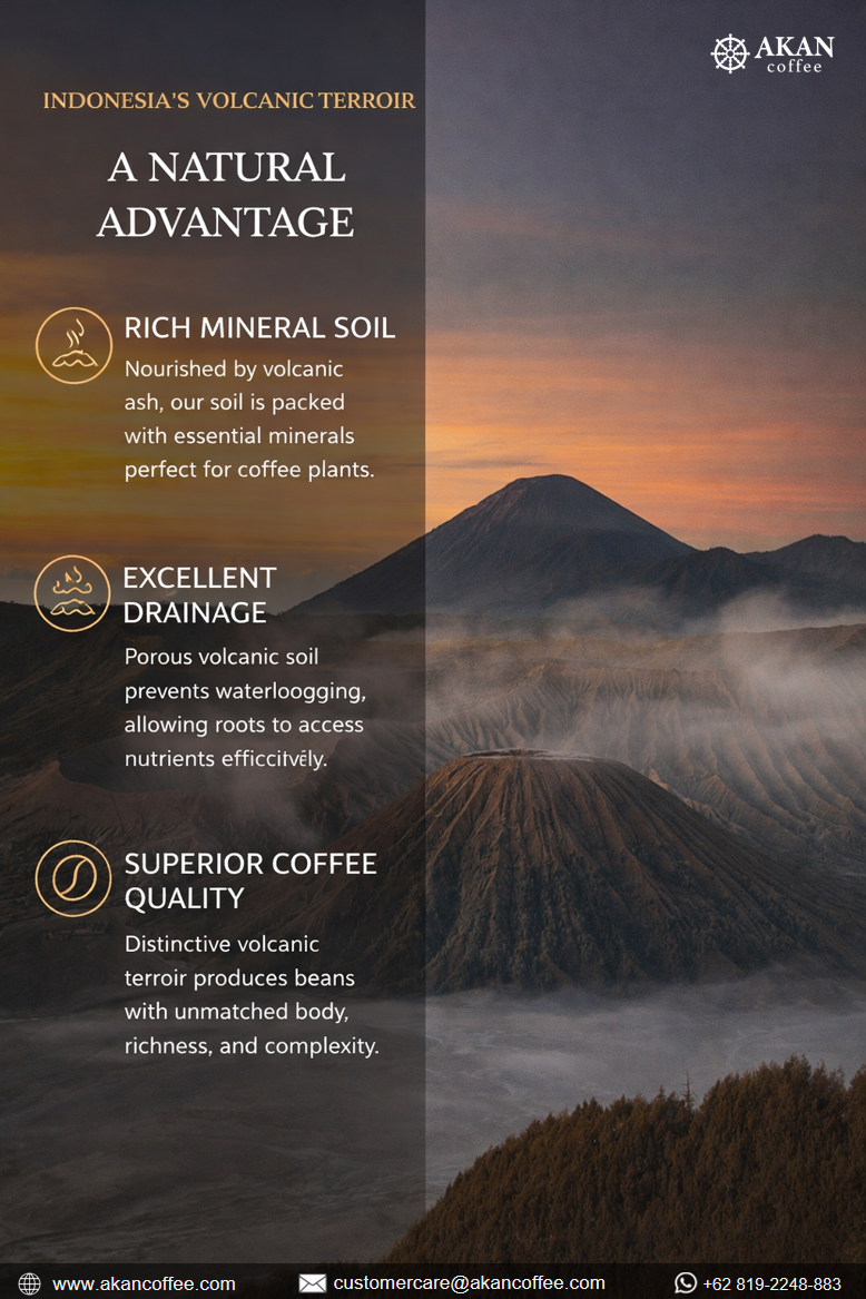 Indonesian volcanic mountains with mist showcasing natural coffee growing environment