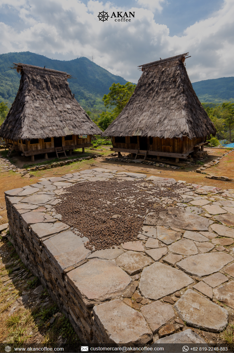 Traditional Indonesian village with coffee beans drying under the sun