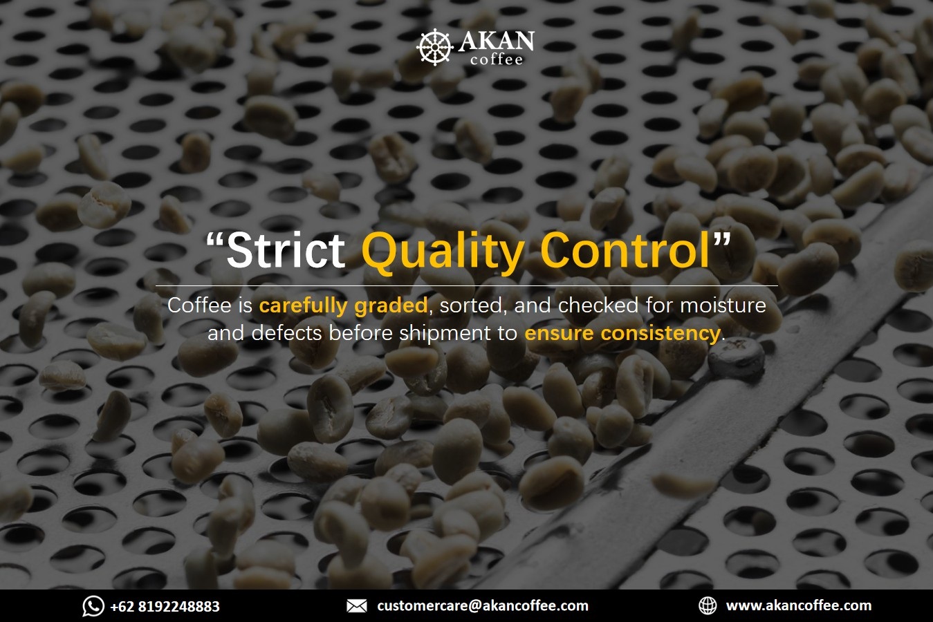 green coffee beans sorting grading quality control indonesia
