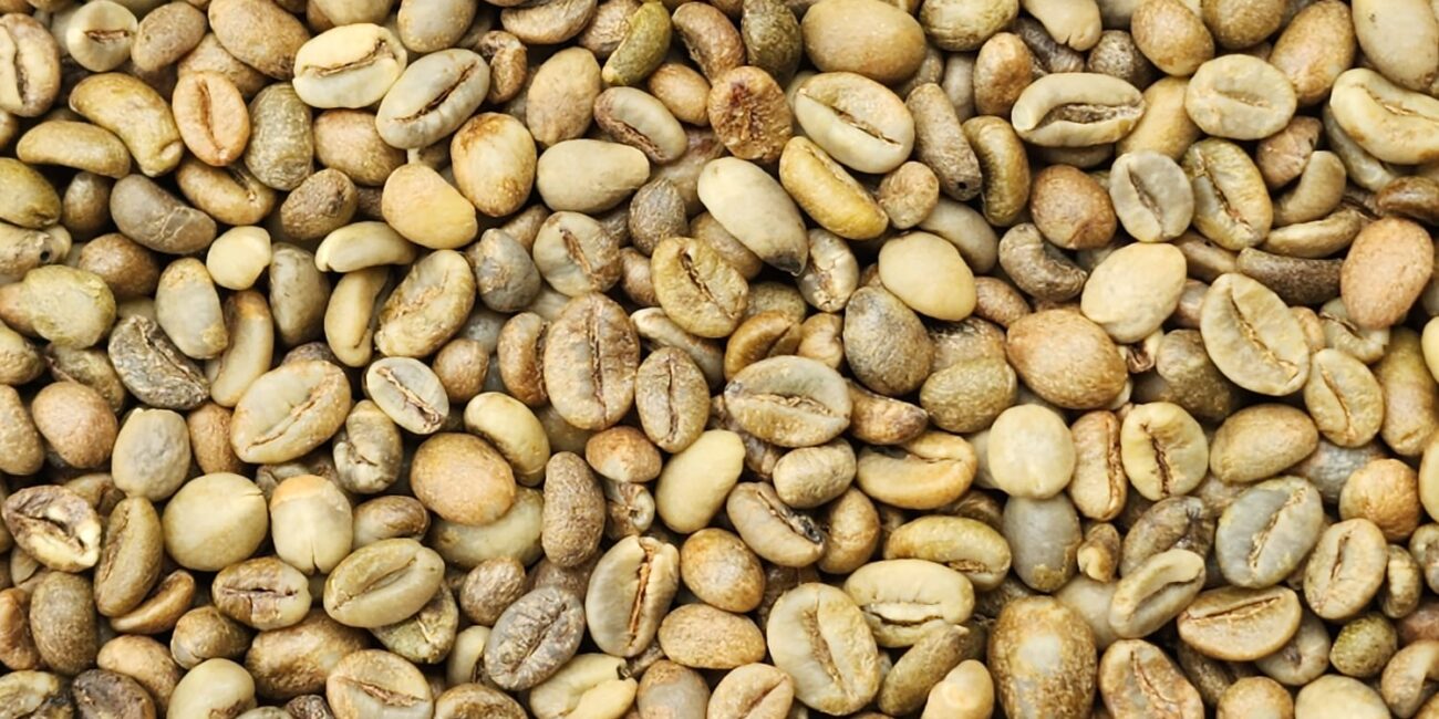 Sumatra green coffee beans Gayo Mandheling Indonesia