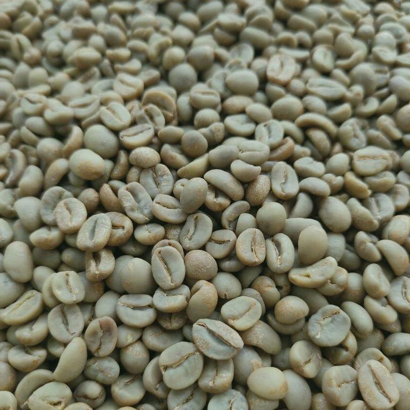 Java green coffee beans Indonesia