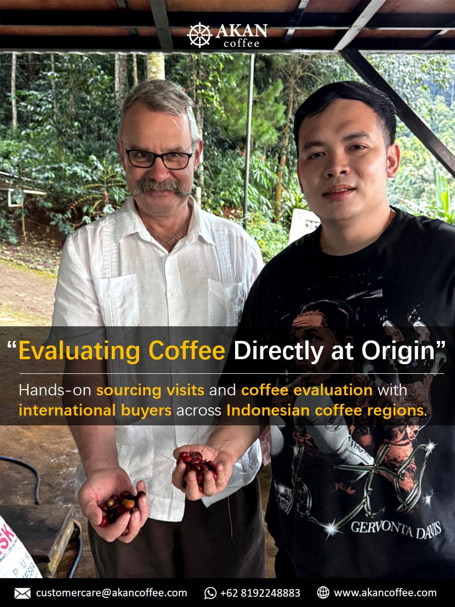 International coffee buyer evaluating coffee cherries directly at Indonesian coffee origin with AKAN Coffee team.